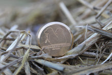 Load image into Gallery viewer, TBT Priest