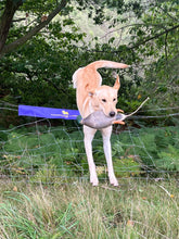 Load image into Gallery viewer, TBT Fence Cover