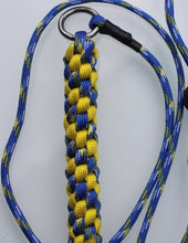 Load image into Gallery viewer, 4mm Training Collar