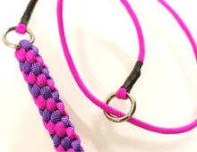 Load image into Gallery viewer, 4mm Training Collar