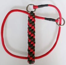 Load image into Gallery viewer, 4mm Training Collar