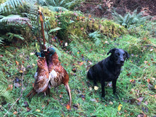 Load image into Gallery viewer, Standard Game Carrier