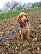 Load image into Gallery viewer, 8mm Slip Lead