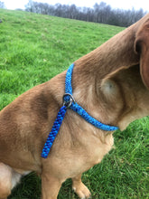 Load image into Gallery viewer, 8mm Training Collar