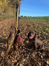 Load image into Gallery viewer, Standard Game Carrier