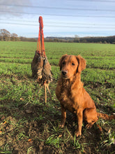 Load image into Gallery viewer, Standard Game Carrier