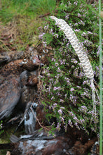 Load image into Gallery viewer, Standard Game Carrier