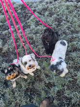 Load image into Gallery viewer, 8mm Slip Lead