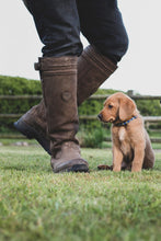 Load image into Gallery viewer, Whelping Collar