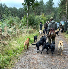 Load image into Gallery viewer, Standard Game Carrier