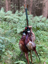 Load image into Gallery viewer, Standard Game Carrier