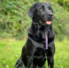 Load image into Gallery viewer, 4mm Training Collar