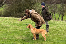 Load image into Gallery viewer, 8mm Training Collar