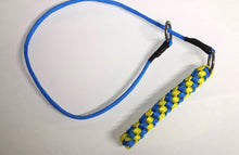 Load image into Gallery viewer, 4mm Training Collar