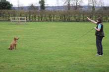 Load image into Gallery viewer, 8mm Long Line