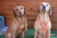 Load image into Gallery viewer, 8mm Training Bundle