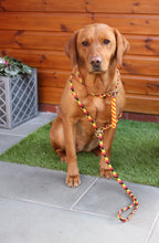 Load image into Gallery viewer, 8mm Training Bundle