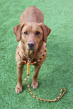 Load image into Gallery viewer, 8mm Training Bundle