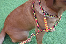 Load image into Gallery viewer, 8mm Training Bundle