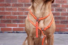 Load image into Gallery viewer, 8mm Training Bundle