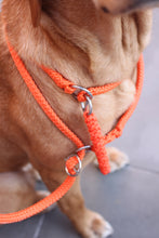 Load image into Gallery viewer, 8mm Training Bundle