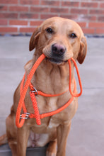 Load image into Gallery viewer, 8mm Training Bundle