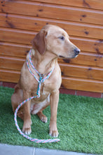 Load image into Gallery viewer, 8mm Training Bundle