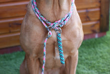 Load image into Gallery viewer, 8mm Training Bundle