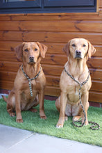 Load image into Gallery viewer, 8mm Training Bundle