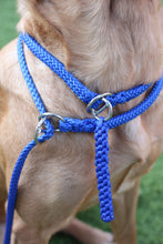 Load image into Gallery viewer, 8mm Training Bundle