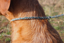 Load image into Gallery viewer, 3 Strand Woven Slip Lead