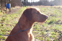 Load image into Gallery viewer, 3 Strand Woven Slip Lead