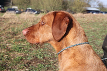 Load image into Gallery viewer, 3 Strand Woven Slip Lead