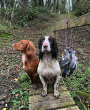 Load image into Gallery viewer, Standard Game Carrier