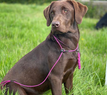 Load image into Gallery viewer, 4mm Slip Lead