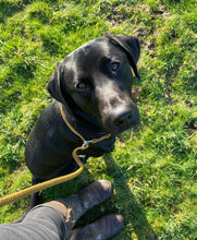 Load image into Gallery viewer, 8mm Slip Lead