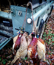 Load image into Gallery viewer, Standard Game Carrier