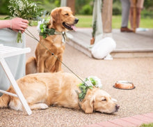 Load image into Gallery viewer, 4mm Slip Lead