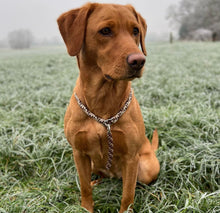 Load image into Gallery viewer, 8mm Training Collar