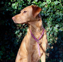 Load image into Gallery viewer, 8mm Training Bundle