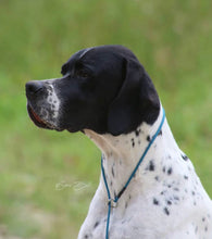 Load image into Gallery viewer, 4mm Slip Lead