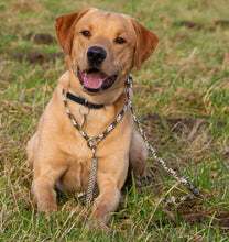 Load image into Gallery viewer, 8mm Training Collar