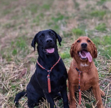 Load image into Gallery viewer, 3 Strand Woven Training Collar