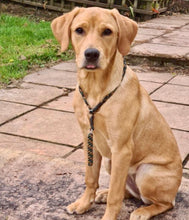 Load image into Gallery viewer, 3 Strand Woven Training Collar